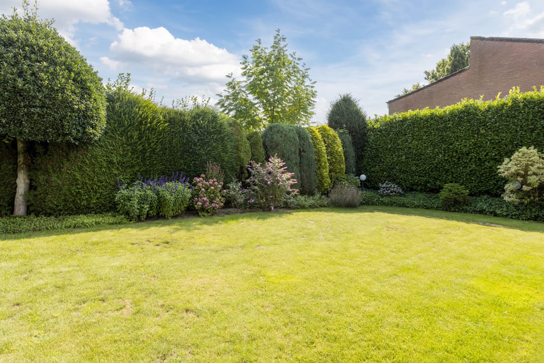 Foto 17 van Kamperfoelielaan 65