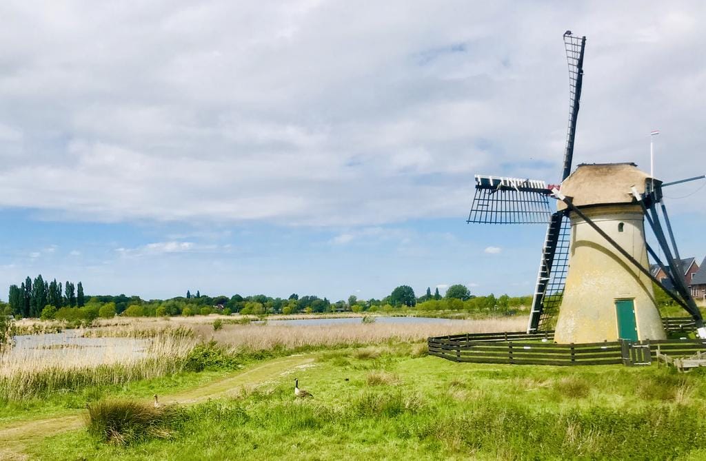 Foto 52 van Linnaeushof 4