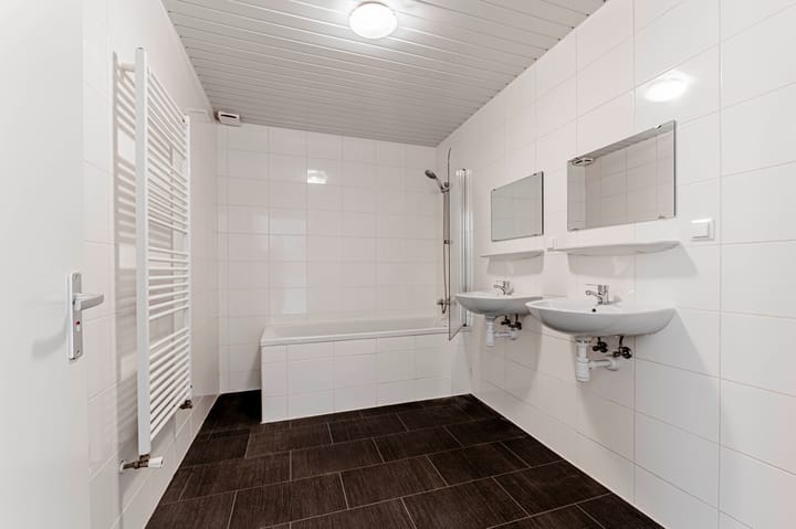 Foto 4 van Drijfriemstraat 84