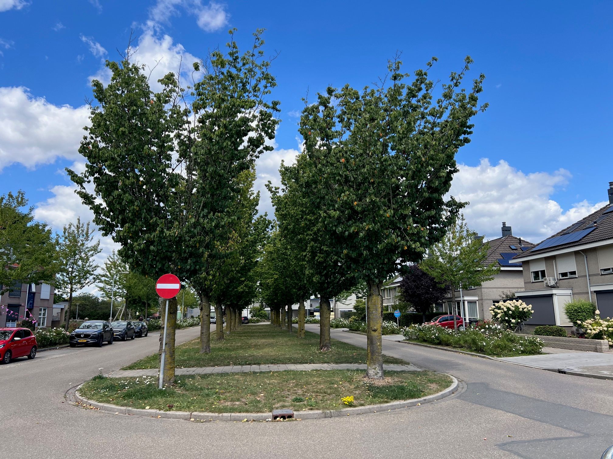 Foto 3 van Appelgaard 51