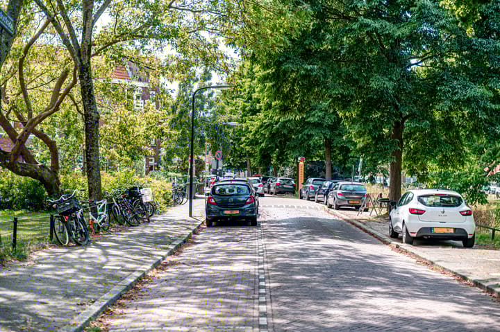 Foto 31 van Drijfriemstraat 84