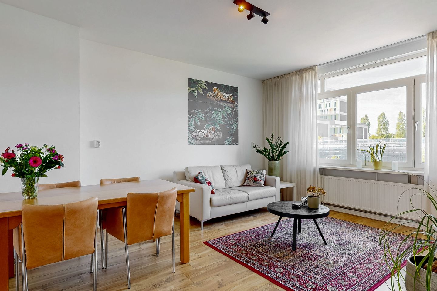 Foto 4 van Jan Tooropstraat 116-2