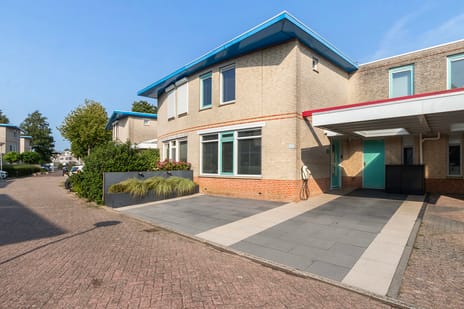 Palissander thumbnail