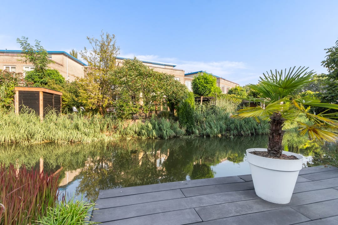 Foto 43 van Palissander 175