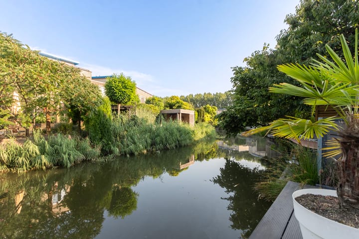 Foto 44 van Palissander 175