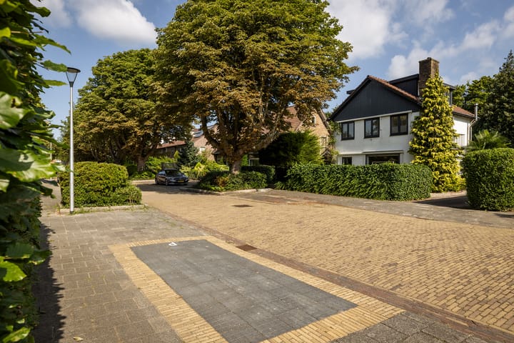 Foto 50 van Prof. Asserlaan 4