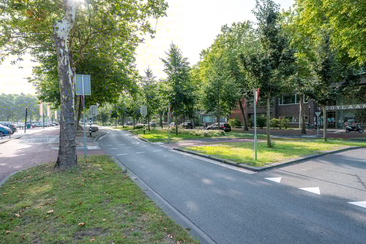 Foto 50 van Constant Erzeijstraat 5