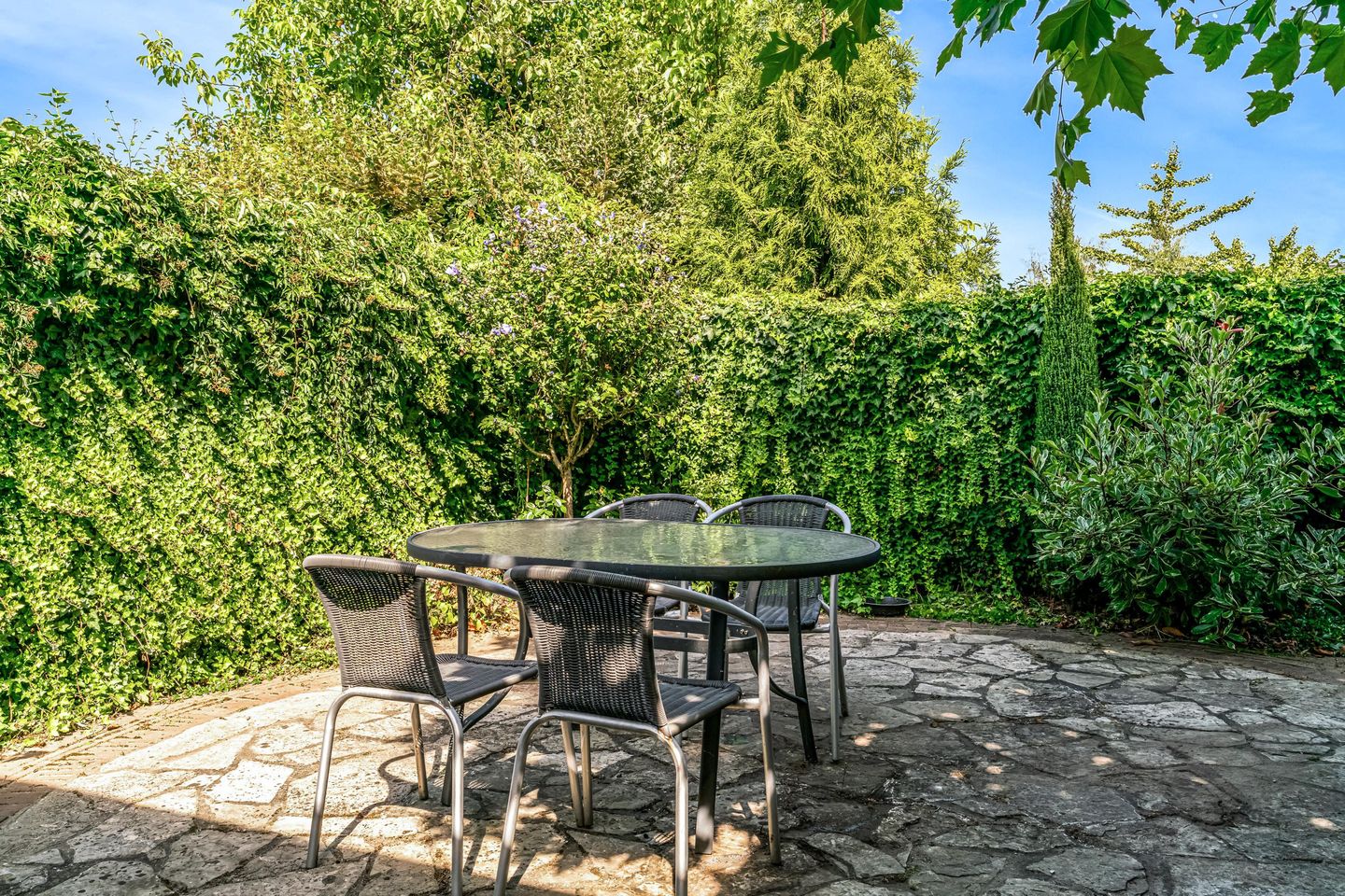 Photo 29 of Den Roover 22