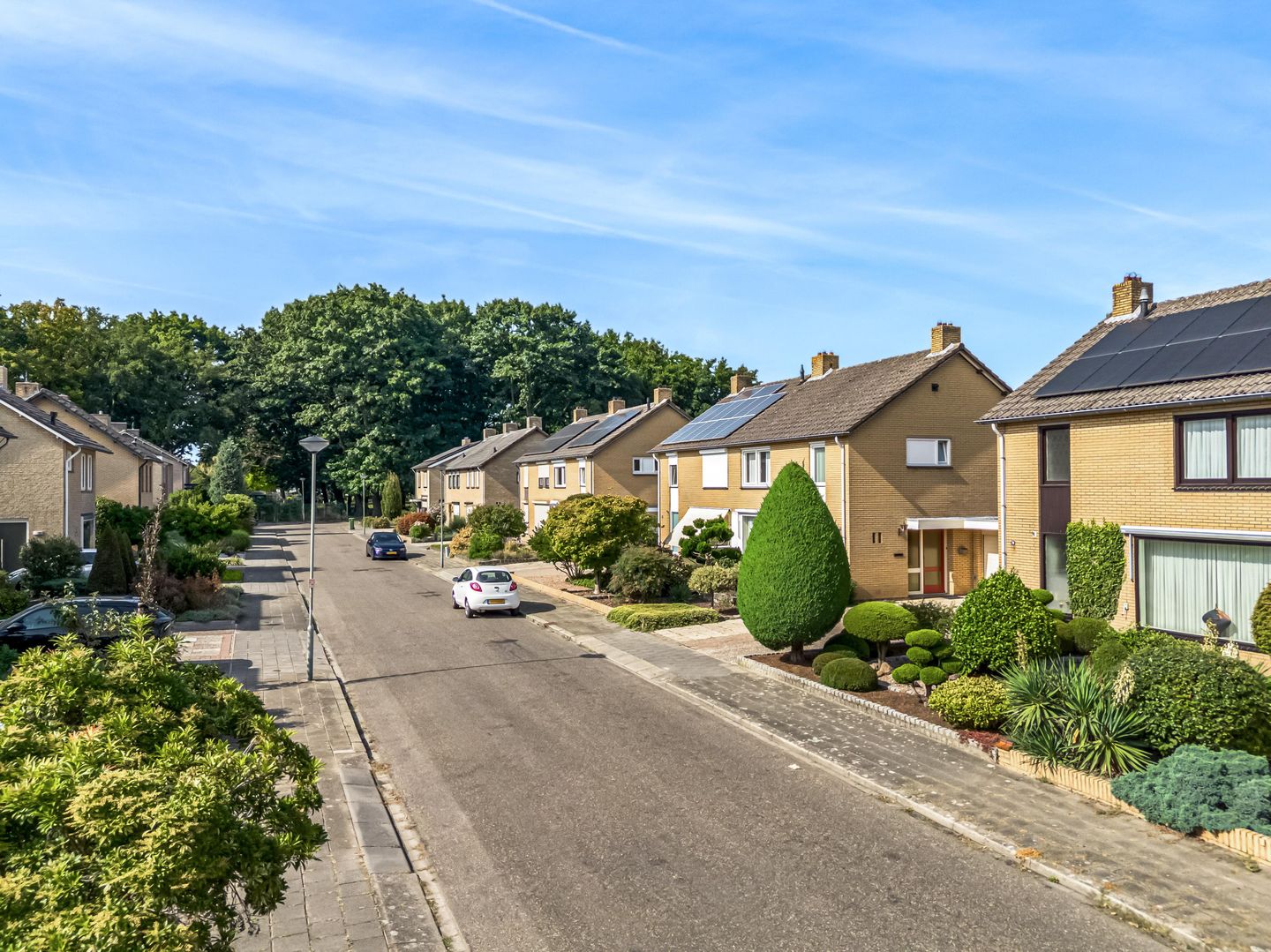 Photo 34 of Den Roover 22