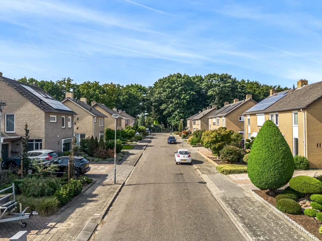 Photo 32 of Den Roover 22