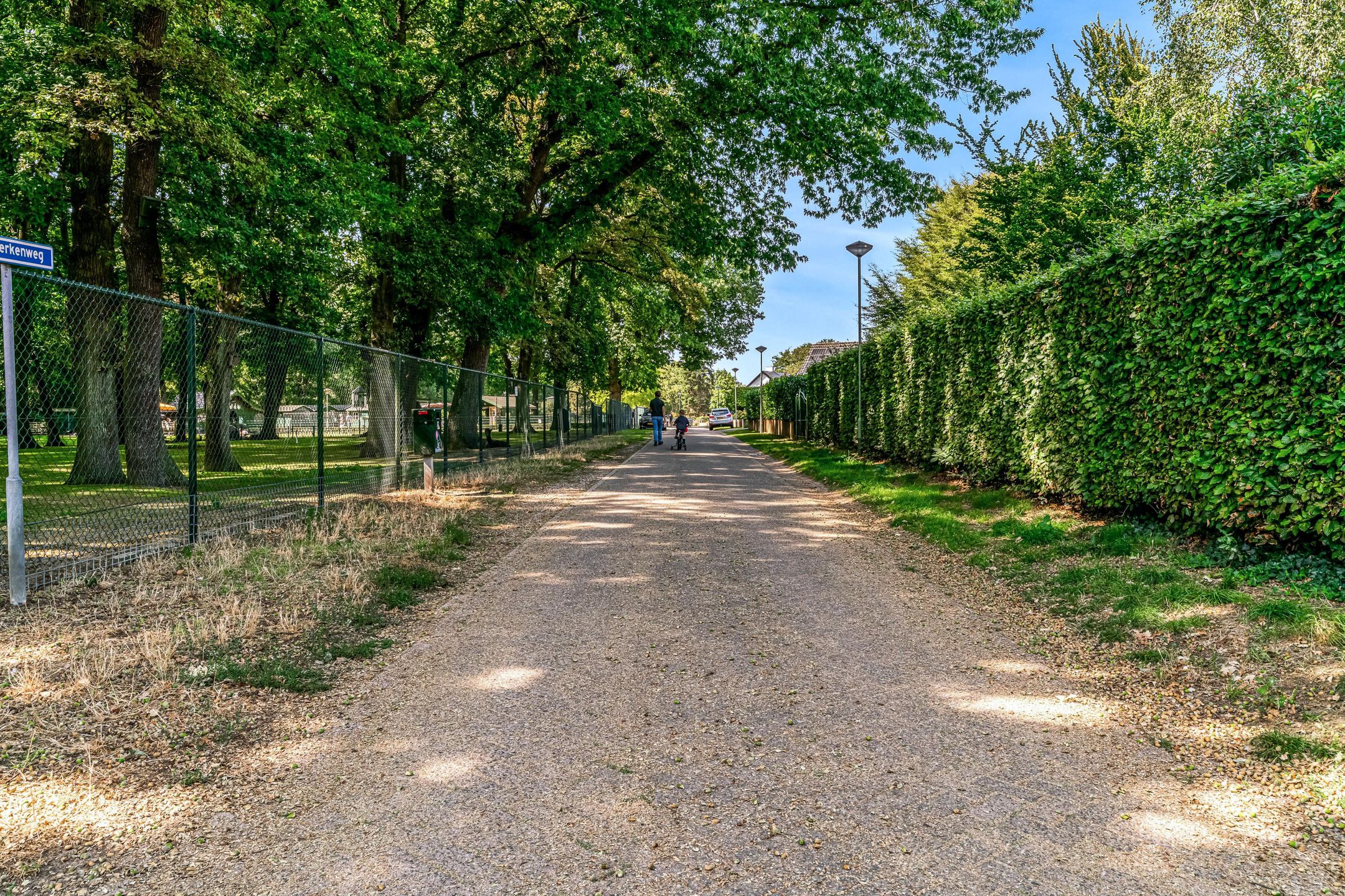 Photo 39 of Den Roover 22