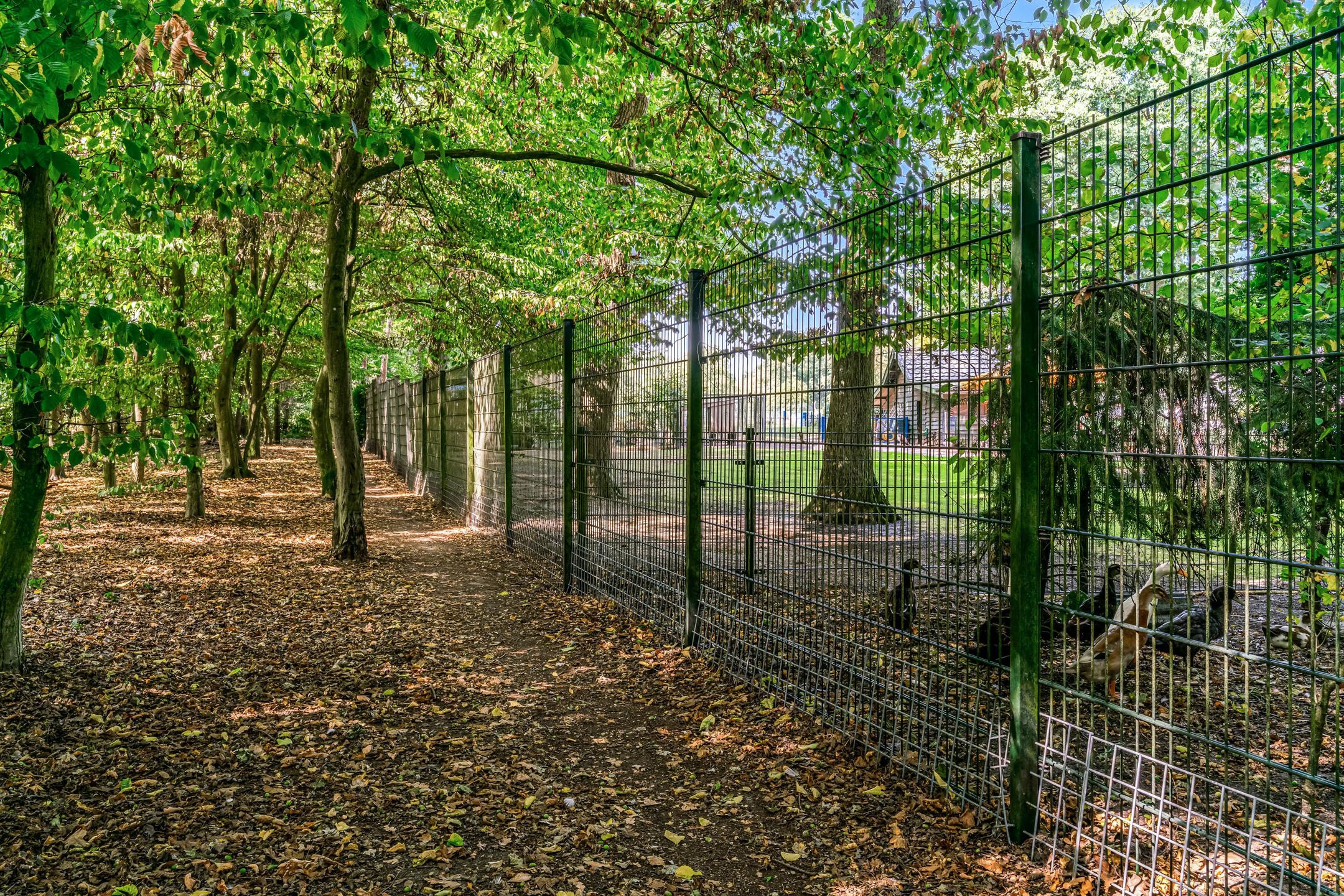 Photo 36 of Den Roover 22