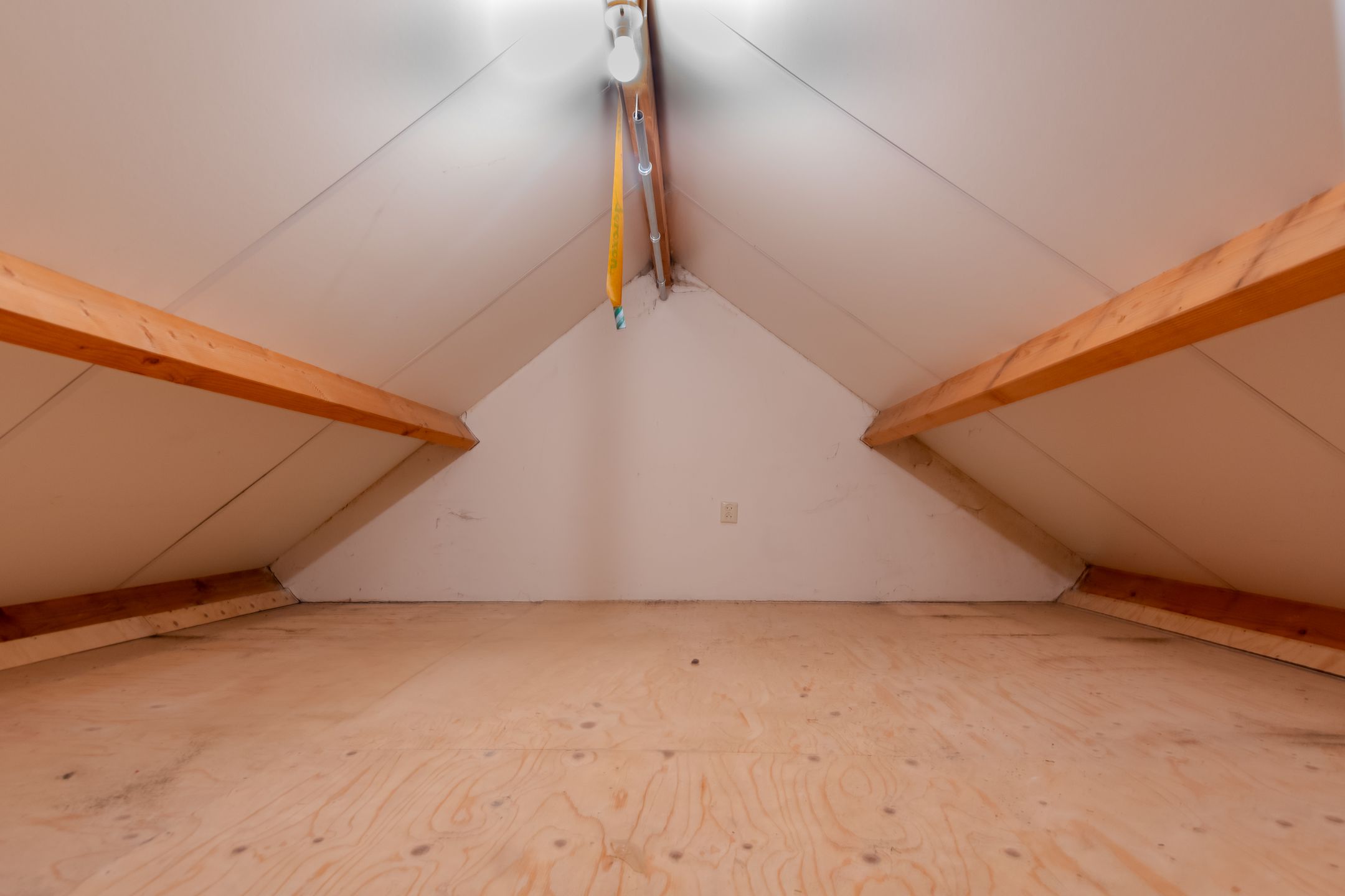 Foto 36 van Fortuinstraat 18