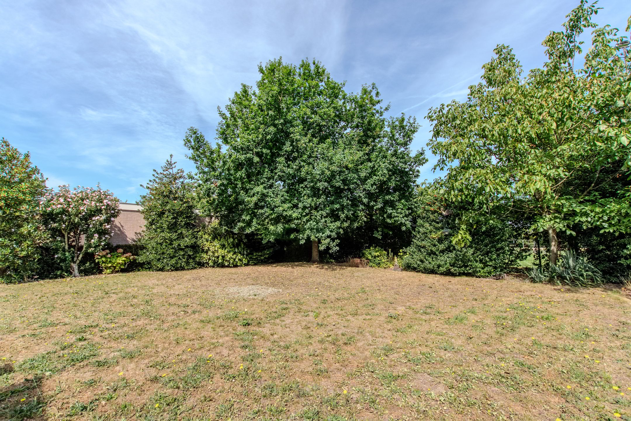 Foto 45 van Fortuinstraat 18