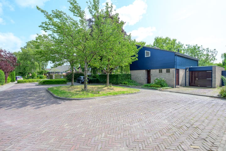 Foto 3 van Meerkoet 30