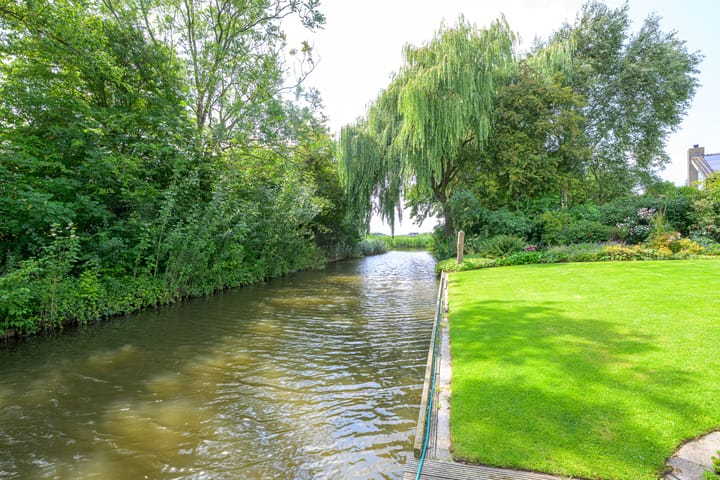 Foto 19 van Meerkoet 30