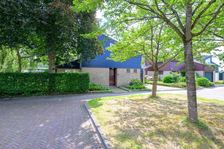 Foto 40 van Meerkoet 30