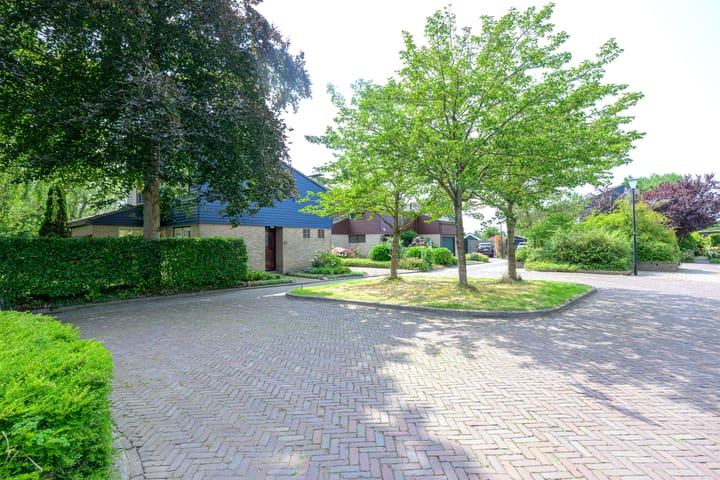 Foto 41 van Meerkoet 30