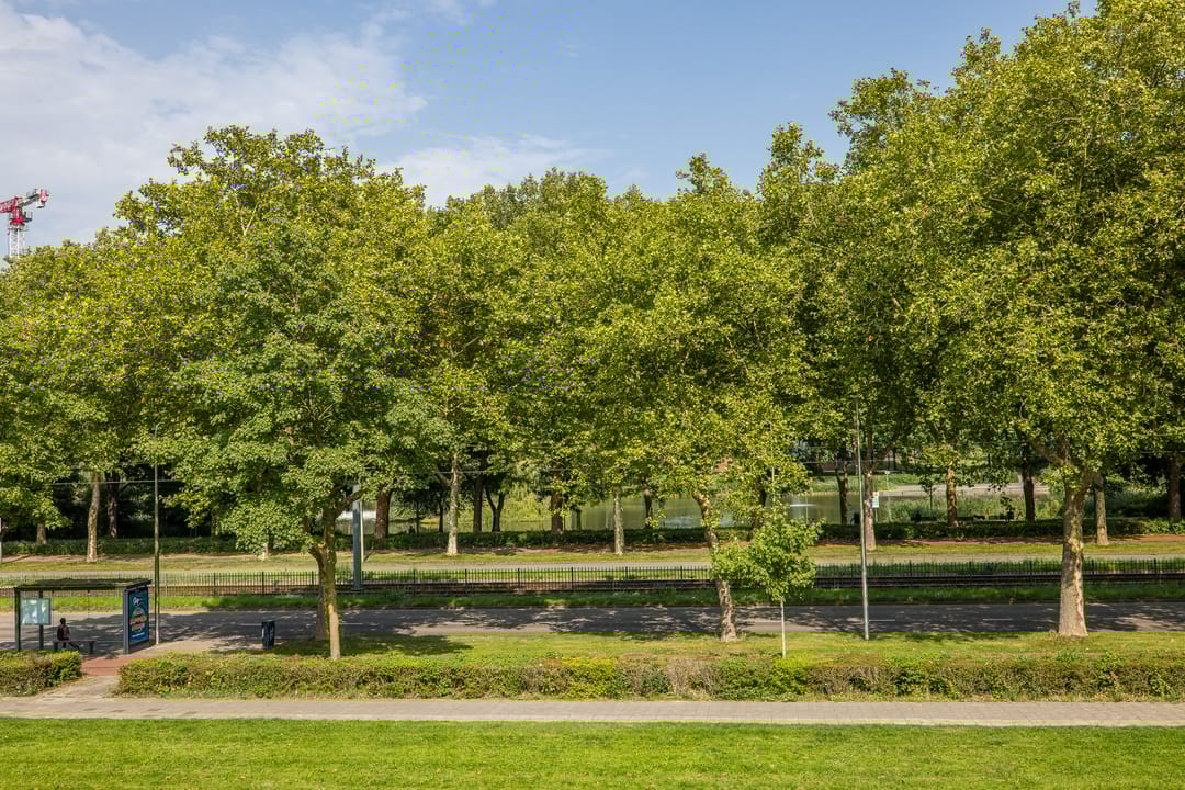 Foto 11 van Livingstonelaan 402