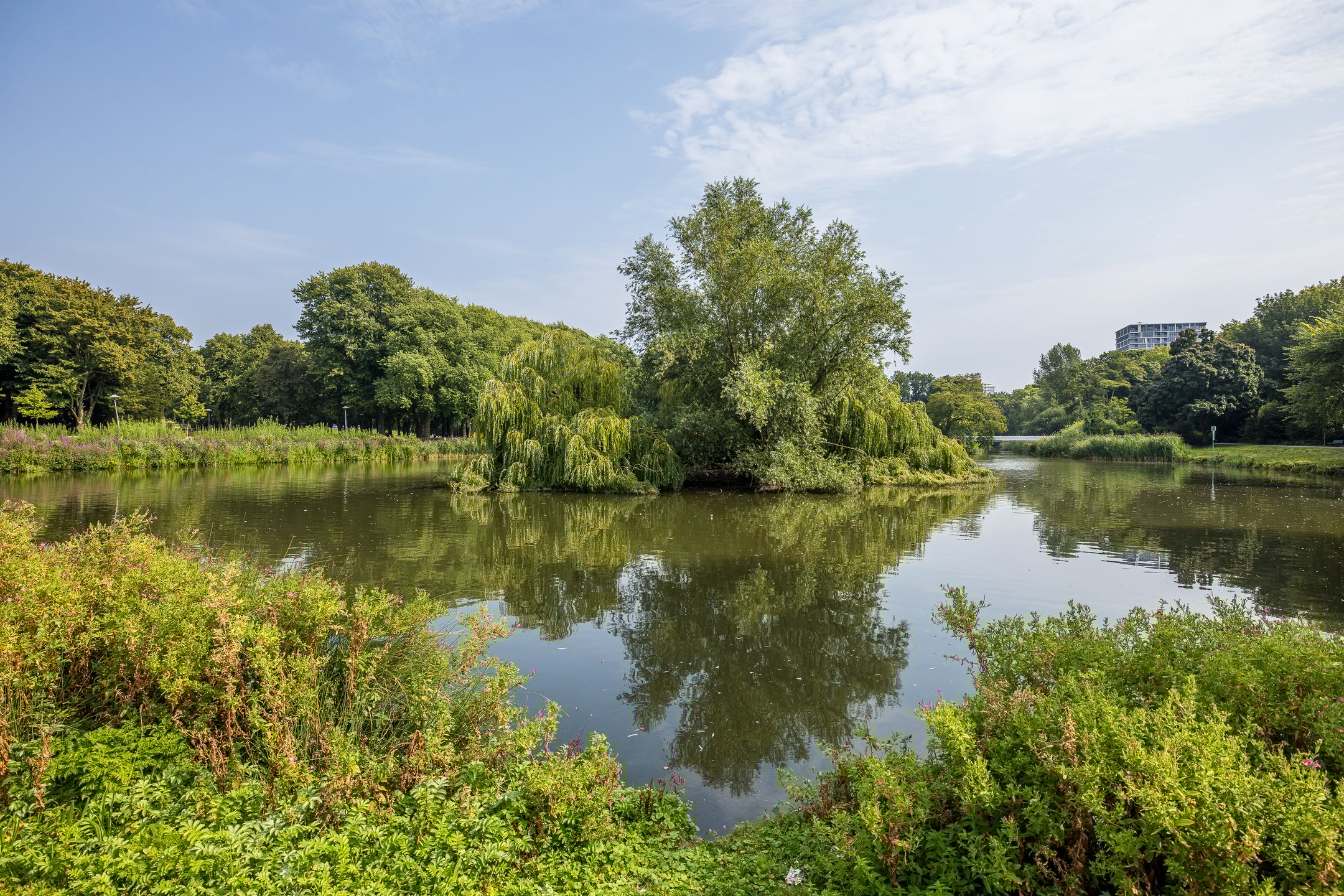 Foto 33 van Livingstonelaan 402