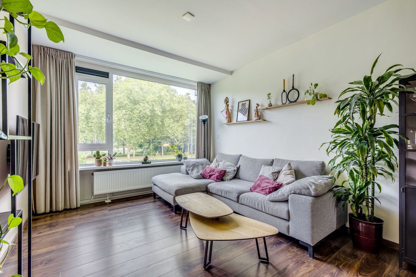 Foto 10 van Livingstonelaan 402