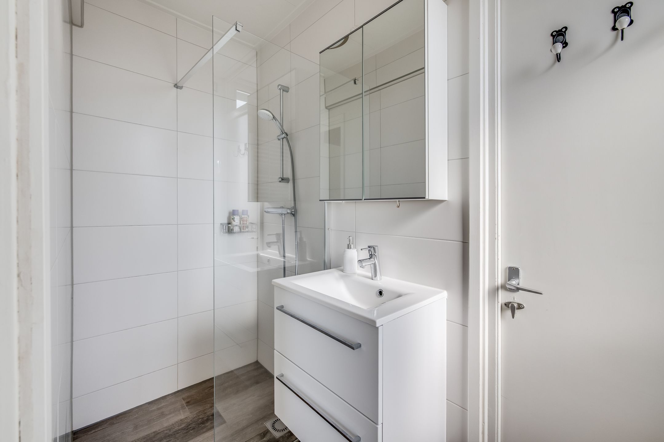 Foto 24 van Tolsteegplantsoen 19-3