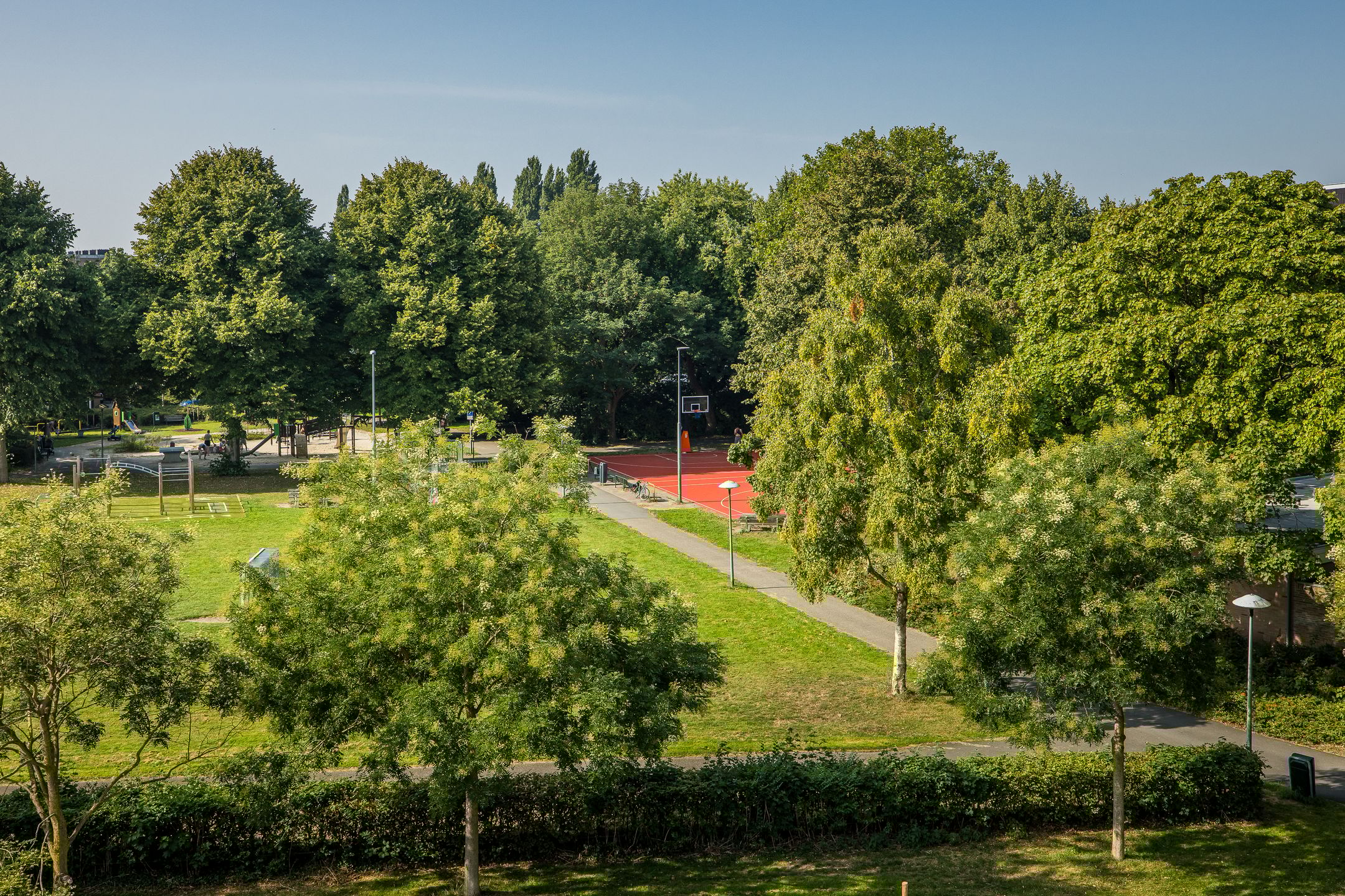 Foto 27 van Tolsteegplantsoen 19-3