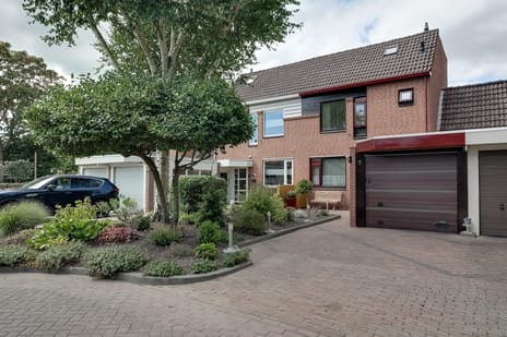 Ter Braaklaan thumbnail