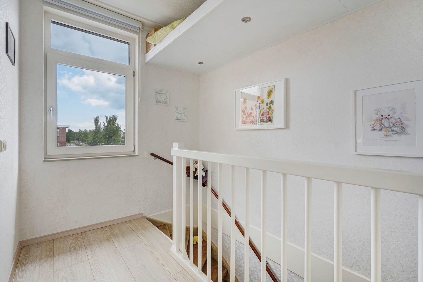 Foto 55 van Tasmanië 124