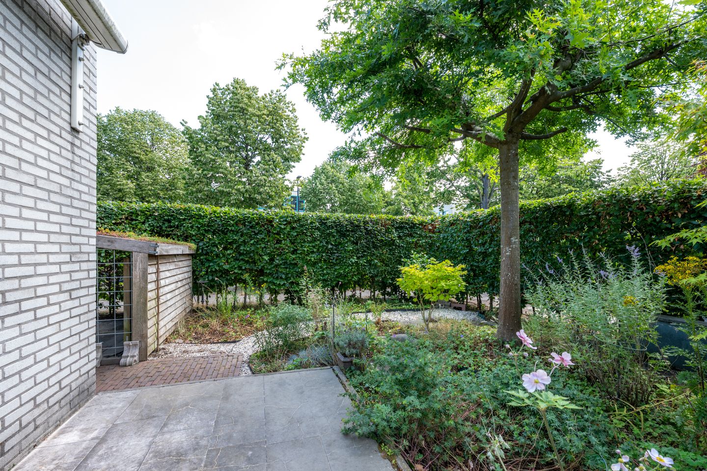 Foto 4 van Aartsbisschop Romerostraat 592