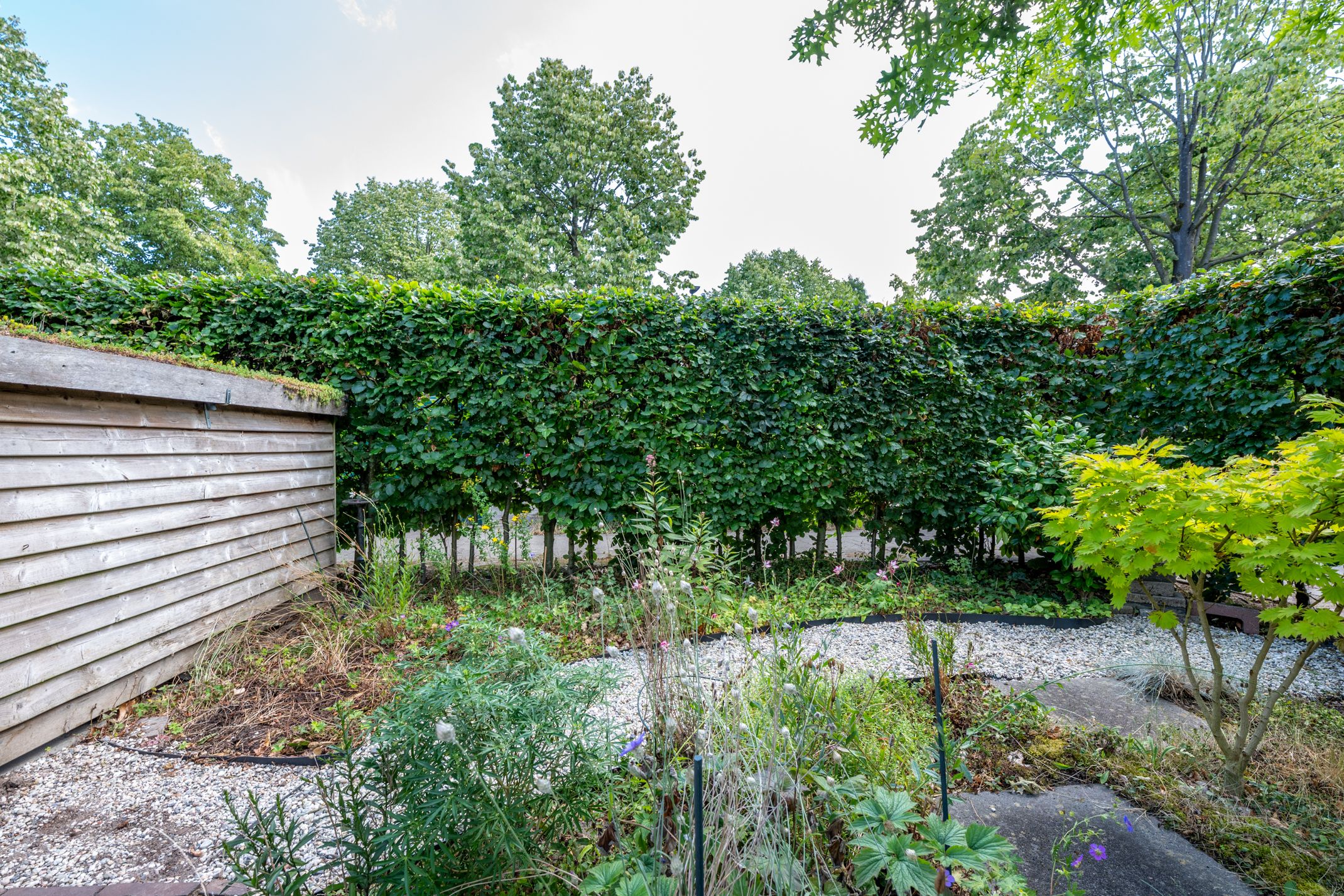 Foto 15 van Aartsbisschop Romerostraat 592