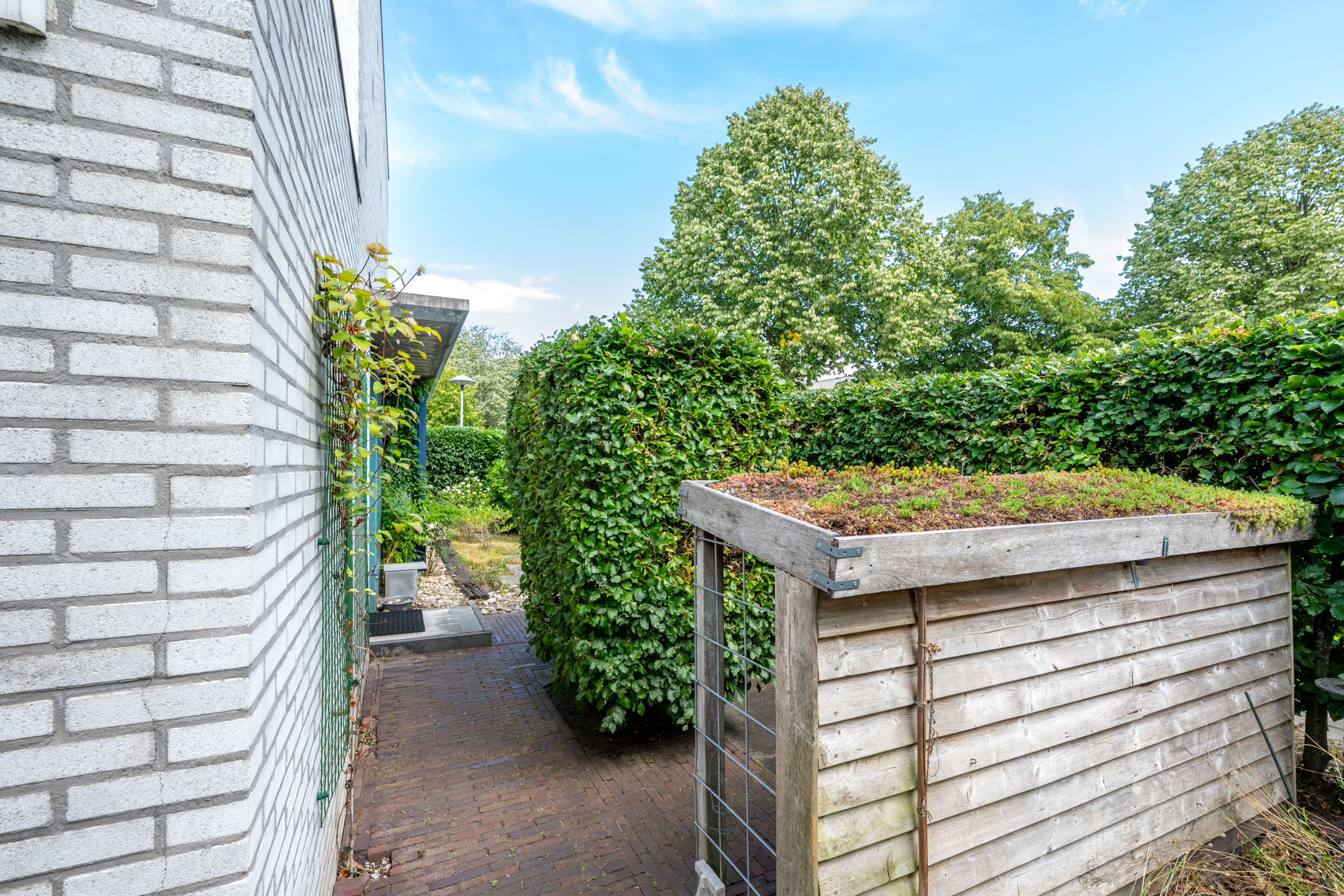 Foto 16 van Aartsbisschop Romerostraat 592