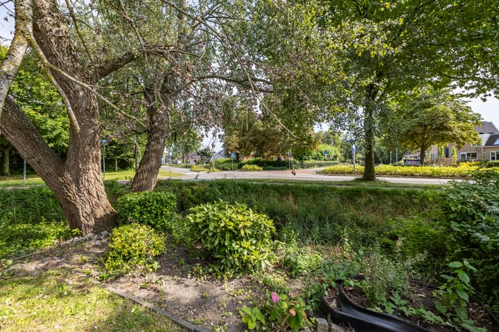 Photo 19 of Edzemaheerd 38