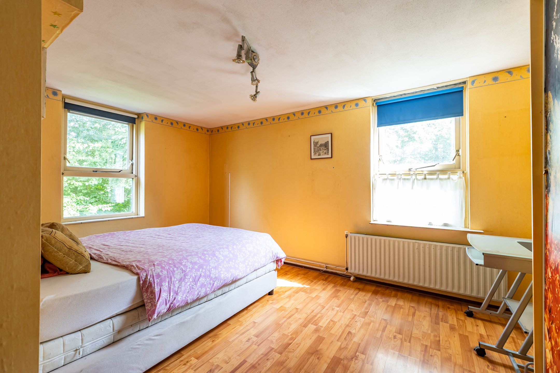 Photo 33 of Edzemaheerd 38