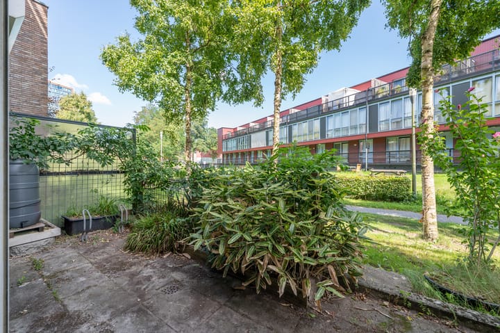 Foto 13 van Forel 58