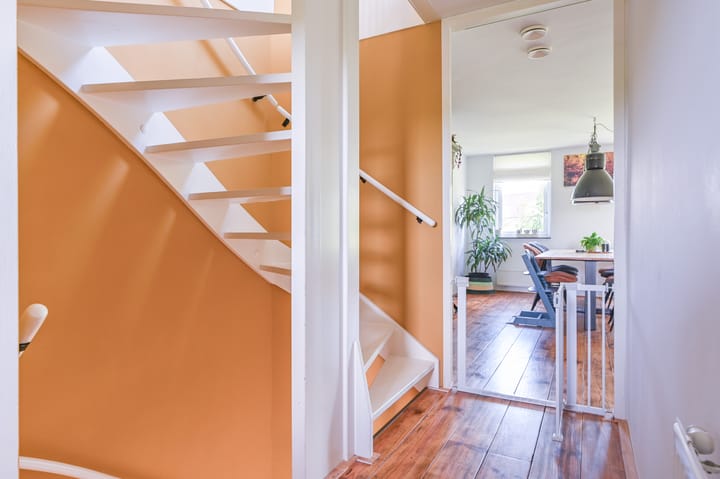 Foto 24 van Forel 58