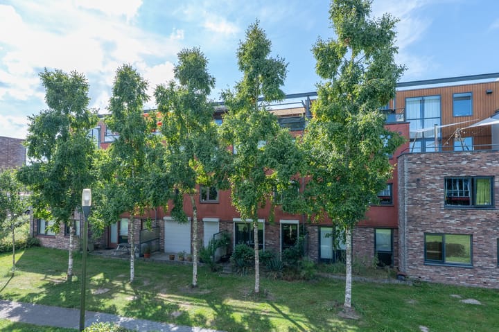 Foto 43 van Forel 58