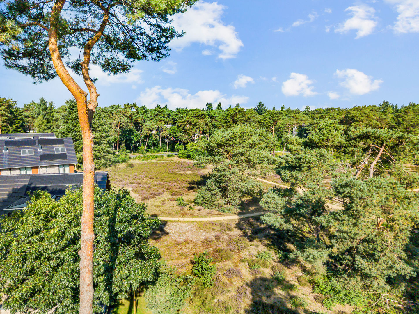 Foto 34 van Prinses Catharina Amalialaan 49