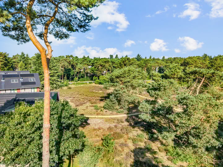 Photo 34 of Prinses Catharina Amalialaan 49