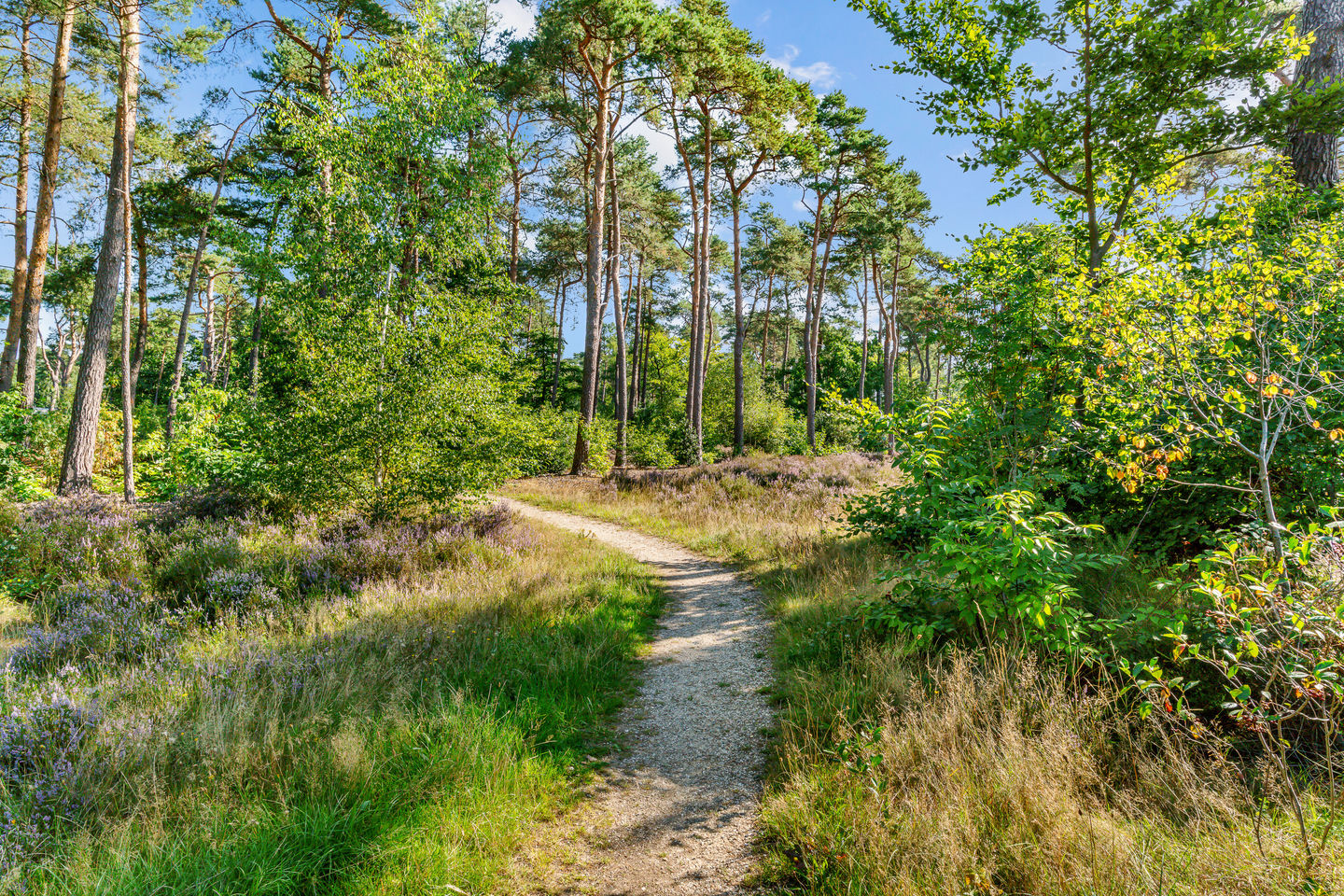 Foto 35 van Prinses Catharina Amalialaan 49