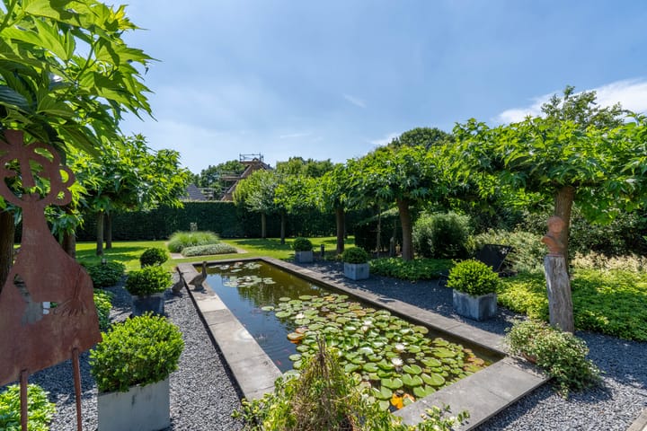 Foto 2 van Hoenderstraat 115