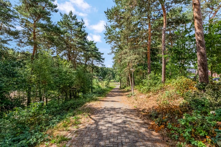 Foto 49 van Zonnelaan 174