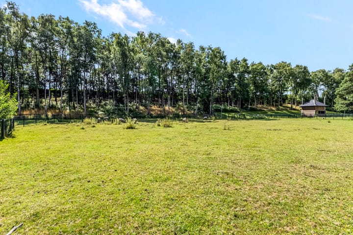 Foto 50 van Zonnelaan 174