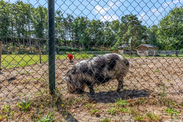 Foto 51 van Zonnelaan 174