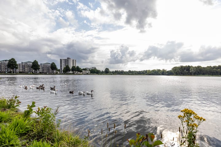 Foto 79 van L.B. Pearsonstraat 34