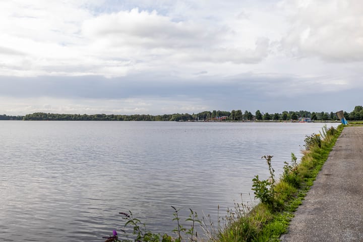 Foto 80 van L.B. Pearsonstraat 34