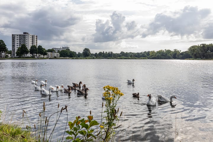 Foto 81 van L.B. Pearsonstraat 34