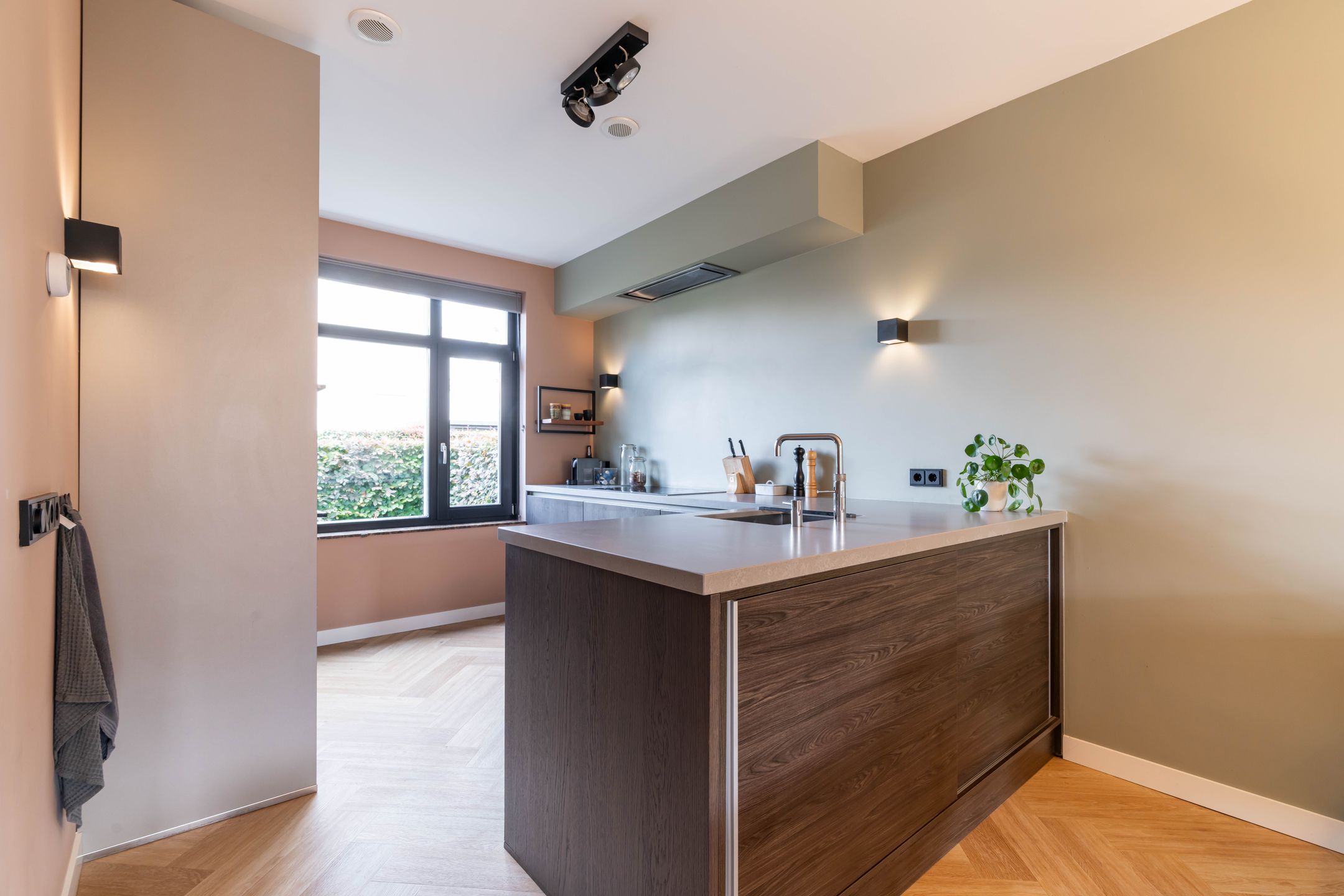 Photo 15 of Mirabelle 5