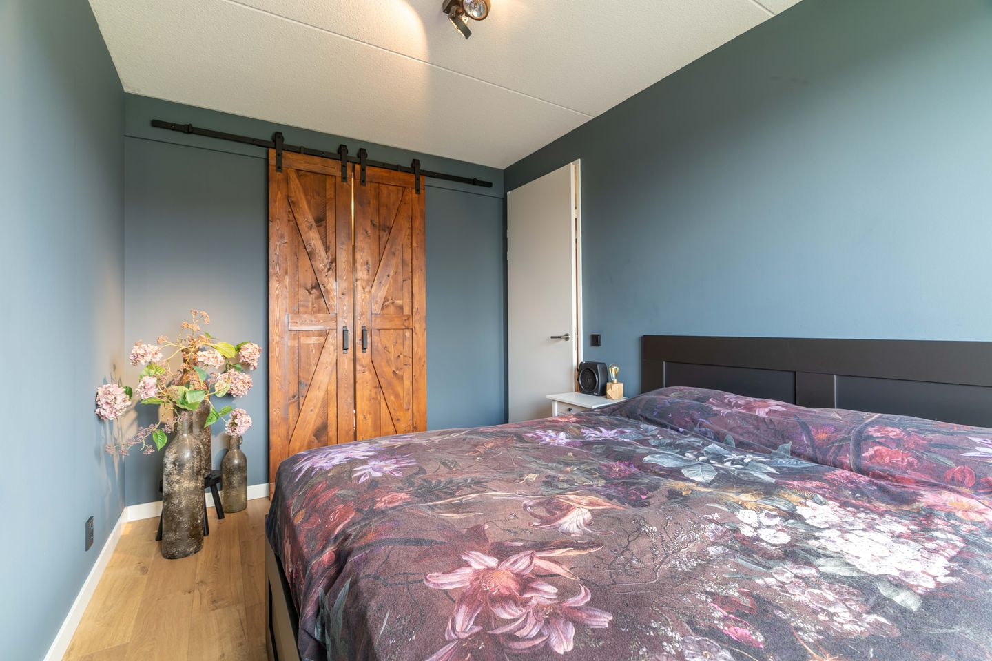 Photo 29 of Mirabelle 5