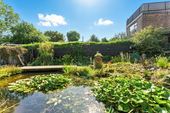 Foto 50 van Oost Kinderdijk 219